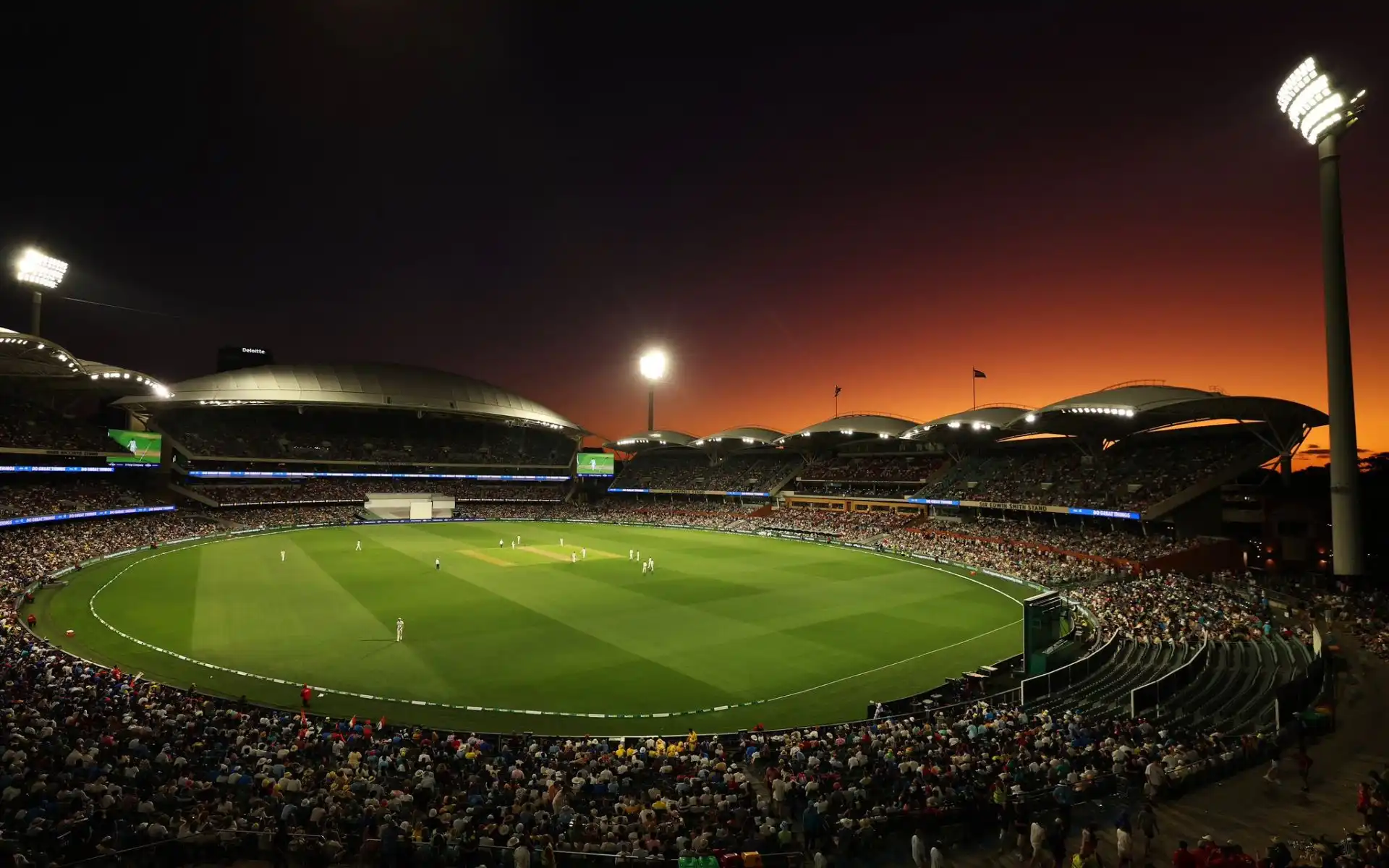 Adelaide Oval Pitch Report For STR vs SCO BBL 2024-25 Match 17